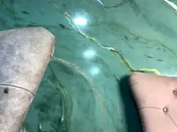 Chaturbate Watch Live Sex Cams of sexual_addiction