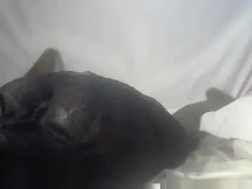 Chaturbate Sex Cam of mayaheavens