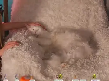 Chaturbate Live Porn of lissa_meooow