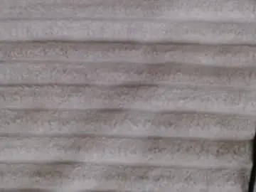 Chaturbate Private Sex Chat of single_fox_4u