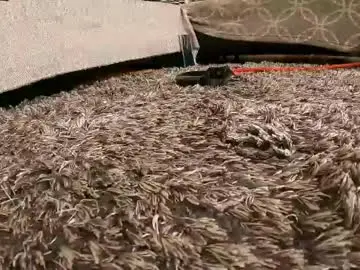 Chaturbate Best Webcam of sexydea