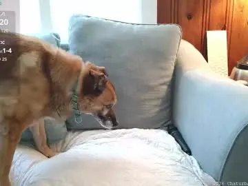 Chaturbate Private Sex Chat of tylersands