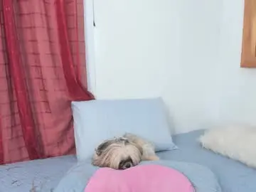 Chaturbate Adult Webcams of annavalente_