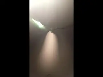 Chaturbate Live Sex of francy_froz