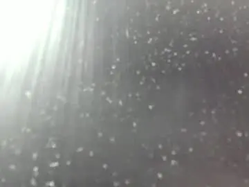 Chaturbate Free Porn Cam of molly_555