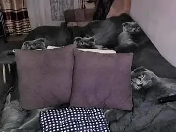 Chaturbate Adult Webcams of tviks