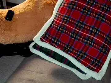 Chaturbate Private Sex Chat of imjoanna