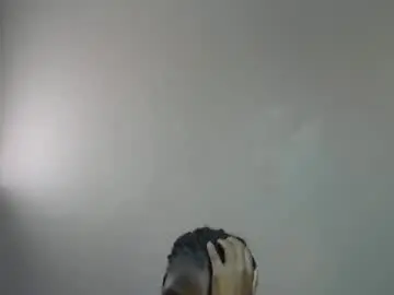 Chaturbate Live Sex of coco_luna