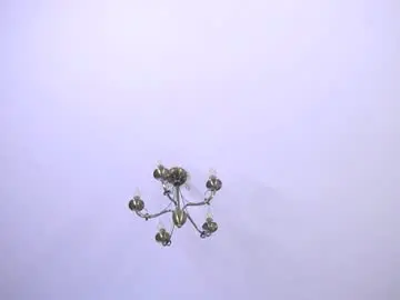 Chaturbate Best live sex cam show of felissiany