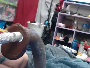 Chaturbate Sex Chat of animergamergirl