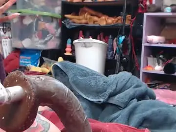 Chaturbate Sex Chat of animergamergirl