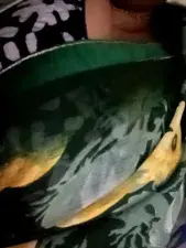 Dscgirls Private Sex Chat of Disha