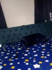 Dscgirls Private Sex Chat of indianhothyd