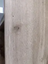 Dscgirls Best live sex cam show of Nayshaa