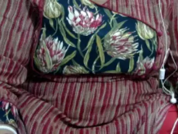 Dscgirls Sex Cam of joty