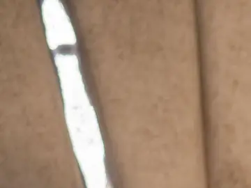 Imlive Live Porn of LaurenPaul