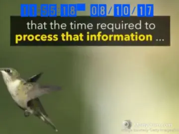 Imlive Adult Webcams of klubnika23