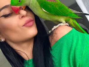 Myfreecams Adult Webcams of Jassyejoe