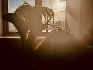 Streamate Adult Webcams of KatieCarterX