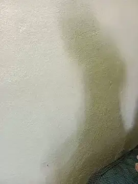 Stripchat Sex Cam of sadhana_telugu