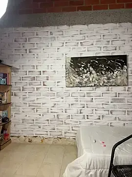 Stripchat Adult Video Chat of sofi_johansson