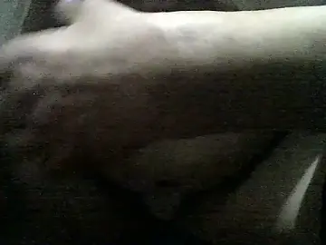 Stripchat Free Live Porn of straichathot_08