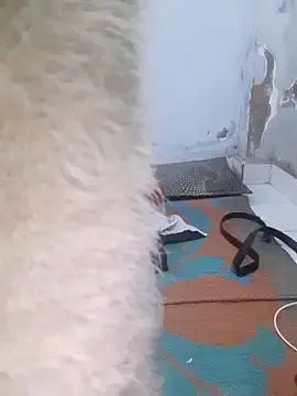 Stripchat Best Webcam of Mahi677