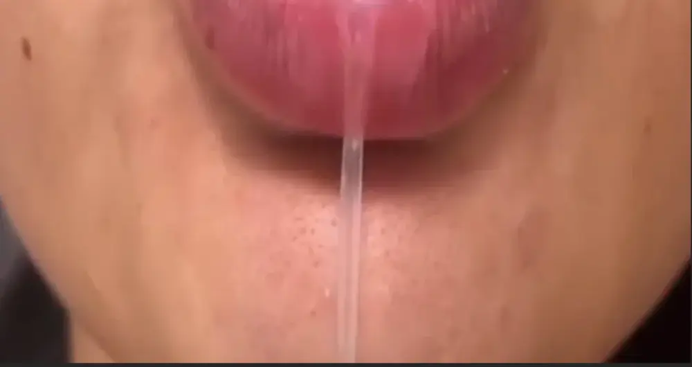 Bela_Rosa-_-