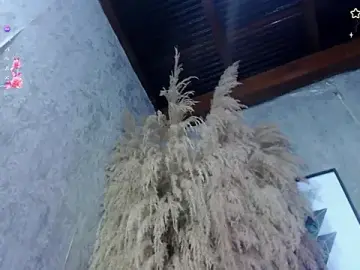 Stripchat Live Sex of Lena_helleen