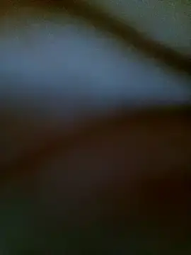 Stripchat Adult Webcams of -Sahar