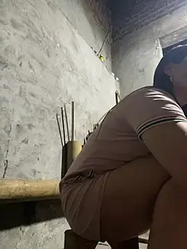 Stripchat Sex Cam of phungtiti