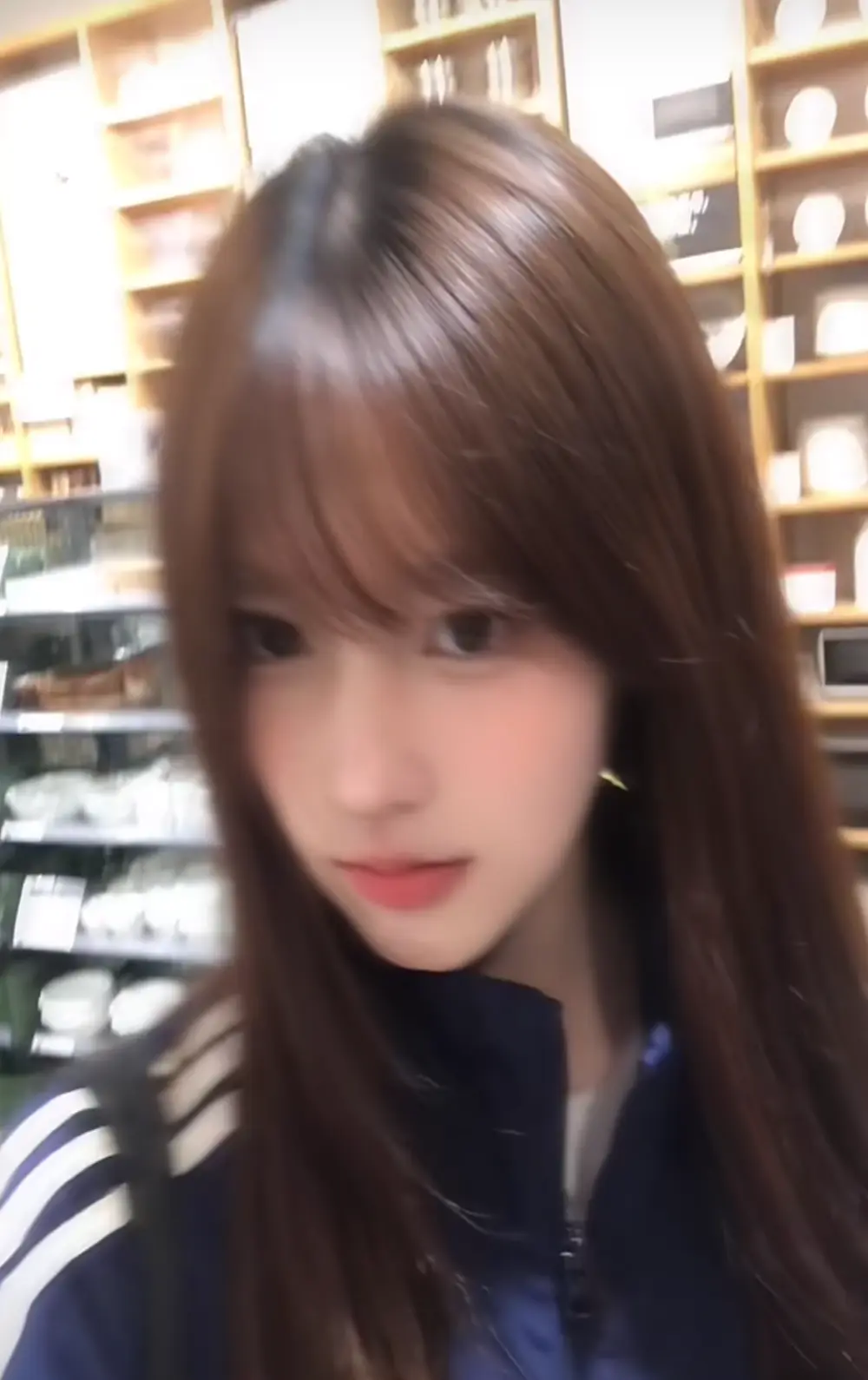 Cartier-__Daji-