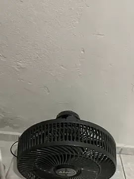 Stripchat Adult Webcam of Safadinhabr01