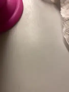 Stripchat Best live sex cam show of dasilva_elsa21