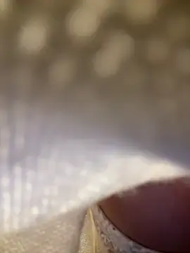 Stripchat Nude Webcam of eveangelll