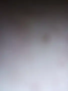 Stripchat Private Sex Chat of Haliya88