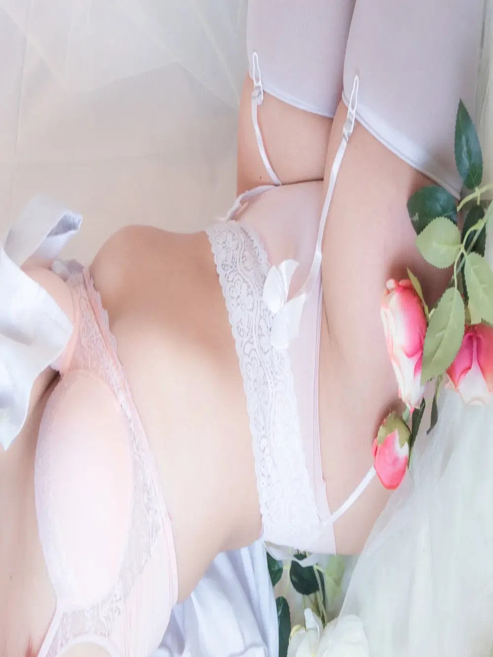Catwhite_