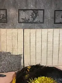 Stripchat Private Sex Chat of AranzalatinBlaks1