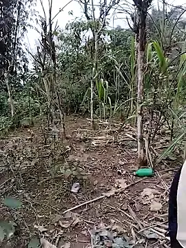 Stripchat Adult Webcam of iam-eli