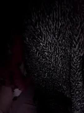 Stripchat Live Sex Cam of Hottiesophie