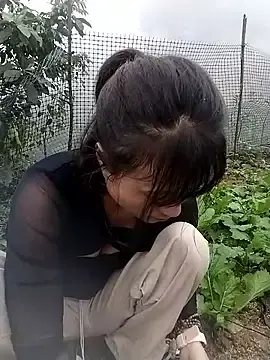 Stripchat Adult Video Chat of linda_bae00