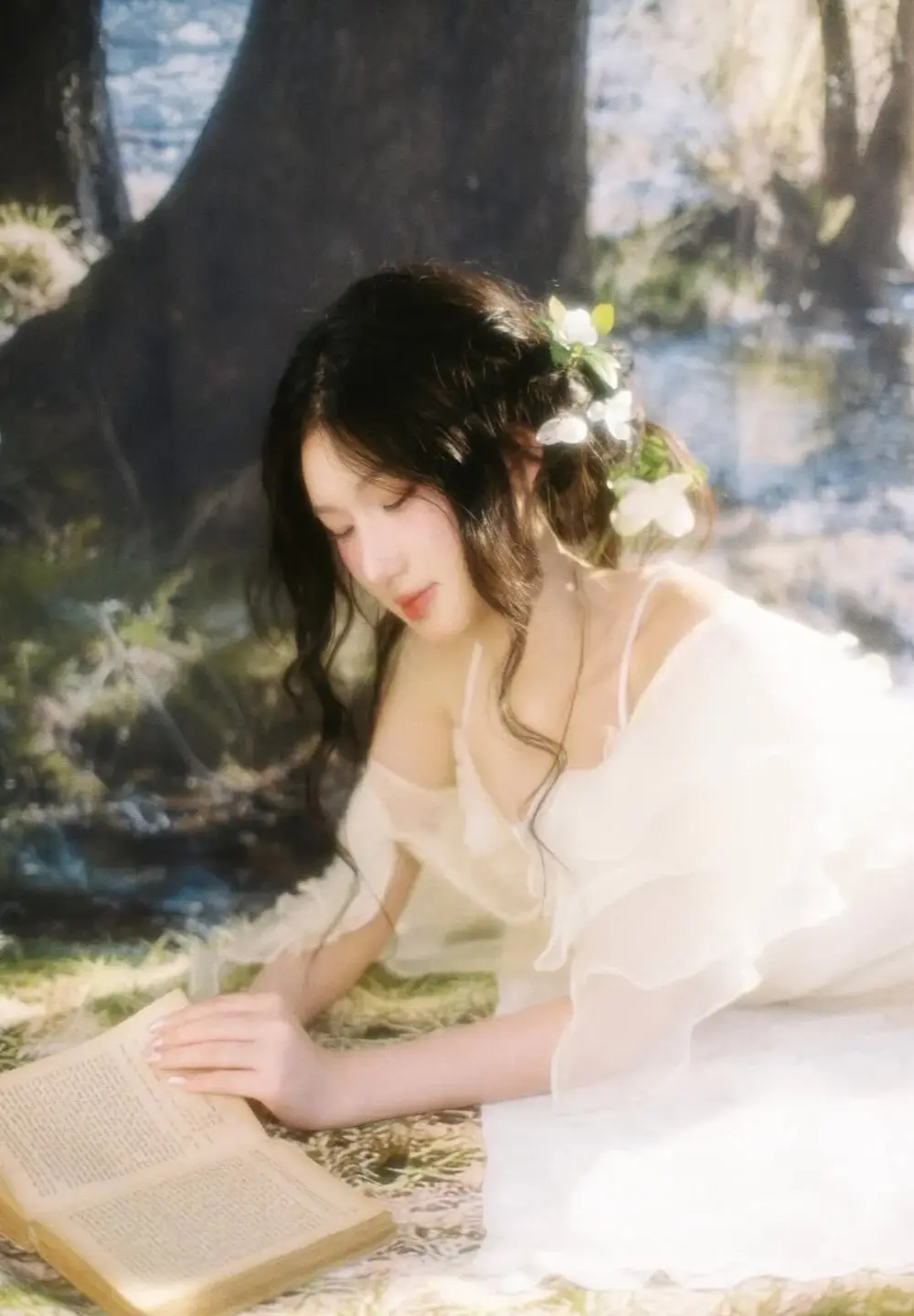Ni_Tran