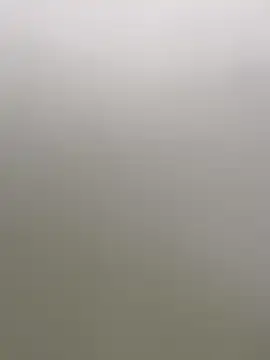 Stripchat Adult Webcam of AnneKane