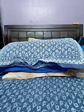 Stripchat Adult Video Chat of wildsakhi