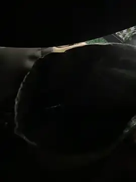 Stripchat Adult Webcams of PumaShyXD