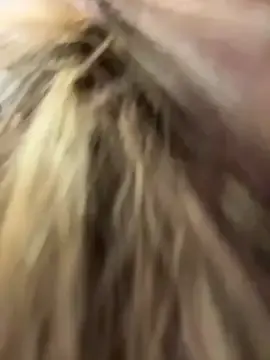 Stripchat Nude Webcam of PumaShyXD