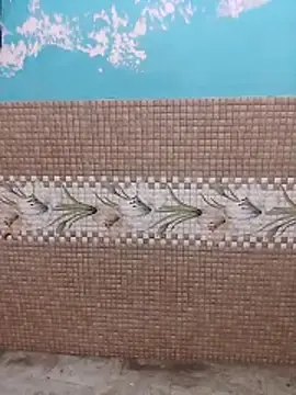 Stripchat Adult Webcams of Miss_Ayesha_Khan