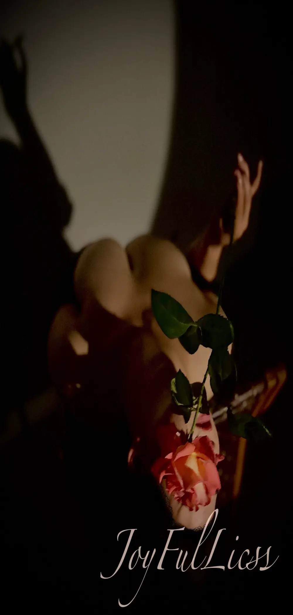 JoyFulLicss