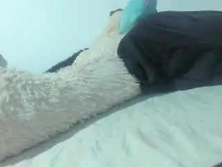 Xlovecam Best live sex cam show of LindaSmith